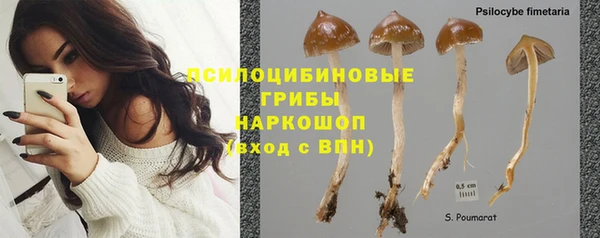 2c-b Верея