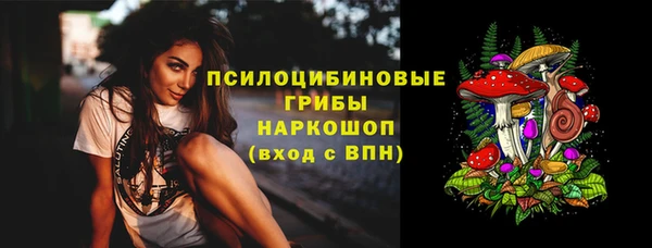 индика Верхний Тагил