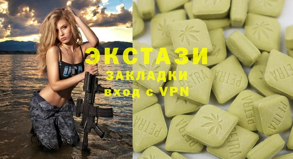 индика Верхний Тагил