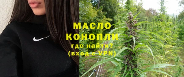 индика Верхний Тагил