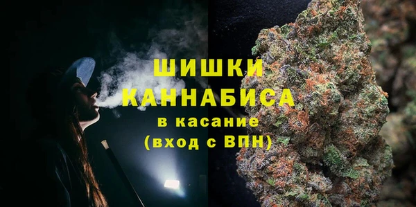 индика Верхний Тагил