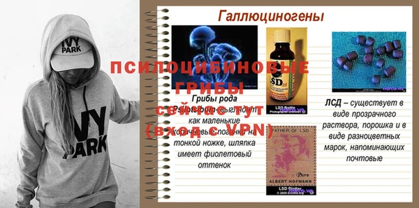 индика Верхний Тагил