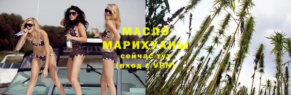 индика Верхний Тагил