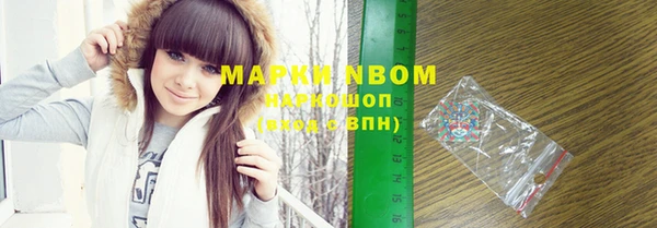 индика Верхний Тагил